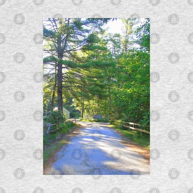 Country Road New Hampshire by MAMMAJAMMA